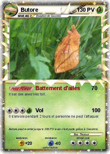 Pokemon Butore