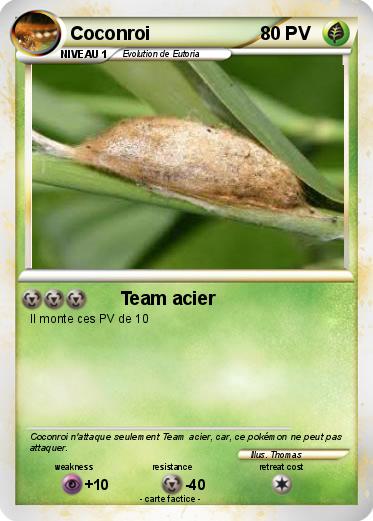 Pokemon Coconroi