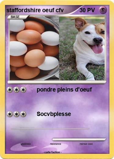 Pokemon staffordshire oeuf cfv
