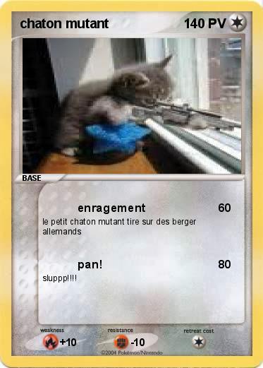 Pokemon chaton mutant