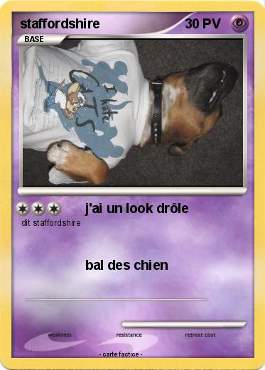 Pokemon staffordshire