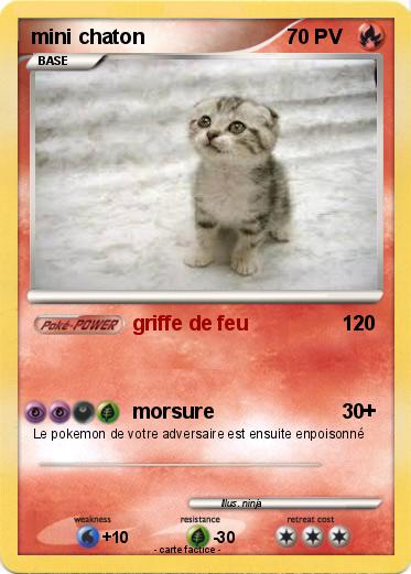 Pokemon mini chaton