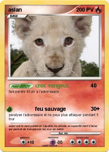 Pokemon aslan