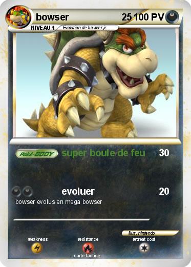 Pokemon bowser                    25