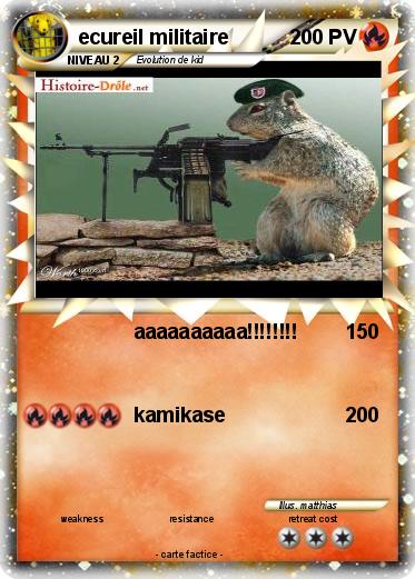 Pokemon ecureil militaire