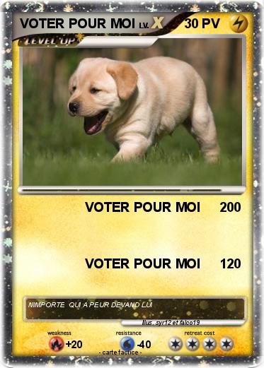 Pokemon VOTER POUR MOI