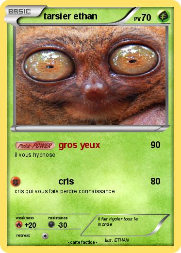 Pokemon tarsier ethan