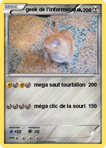 Pokemon geek de l'informatique