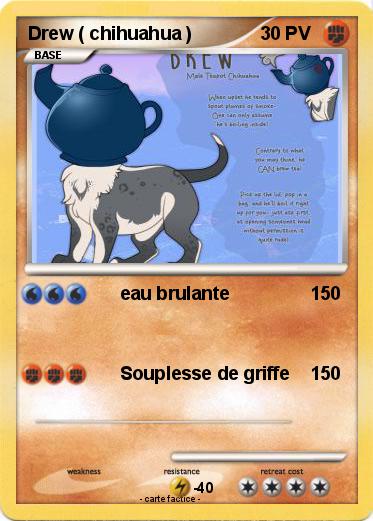 Pokemon Drew ( chihuahua )
