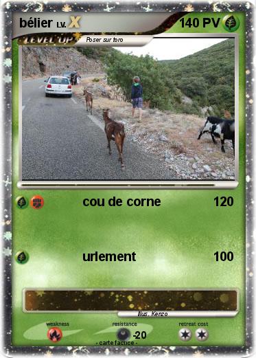 Pokemon bélier