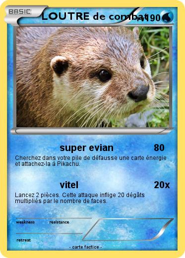 Pokemon LOUTRE de combat