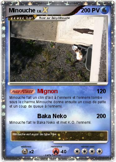 Pokemon Minouche