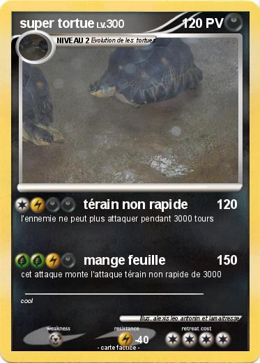 Pokemon super tortue