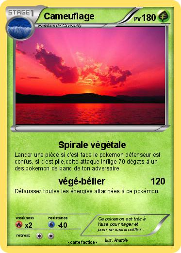 Pokemon Cameuflage
