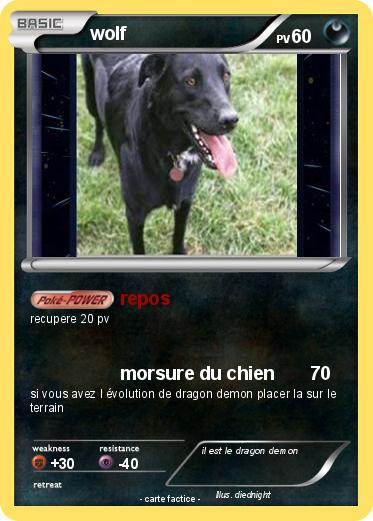 Pokemon wolf