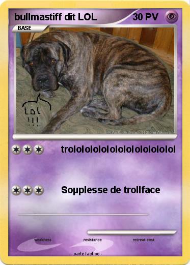 Pokemon bullmastiff dit LOL