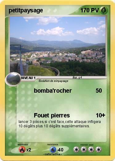 Pokemon petitpaysage