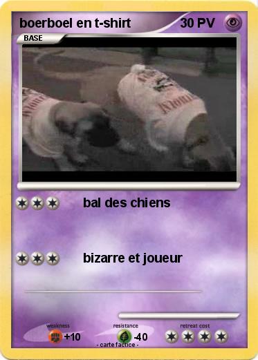 Pokemon boerboel en t-shirt
