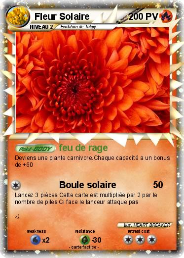 Pokemon Fleur Solaire