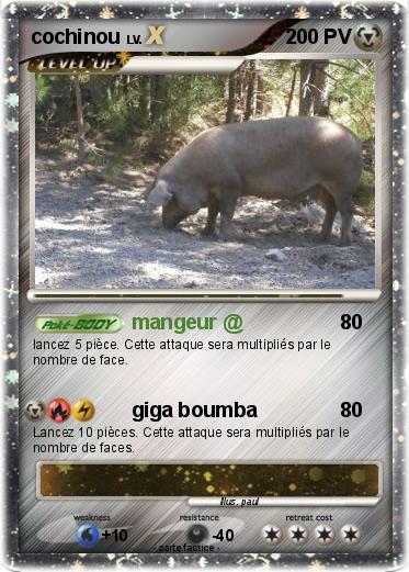 Pokemon cochinou