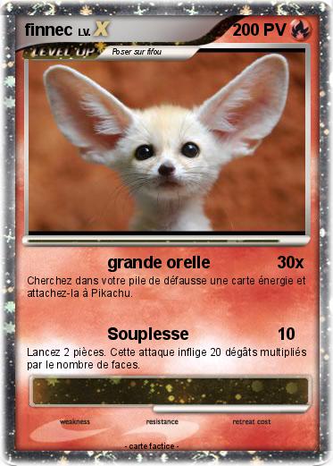 Pokemon finnec