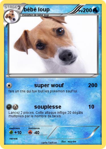 Pokemon bébé loup