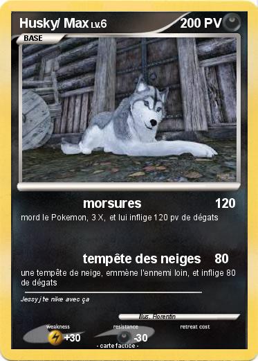 Pokemon Husky/ Max