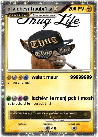 Pokemon c la chèvr traubi1