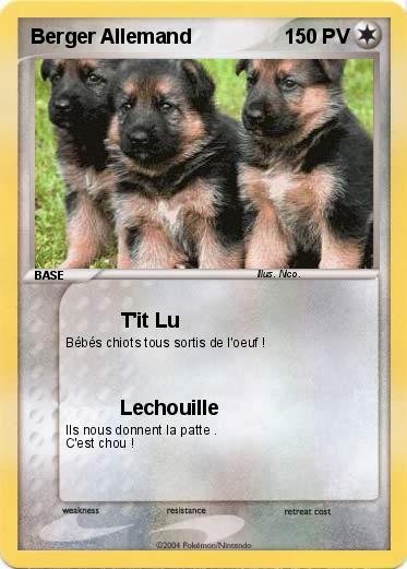 Pokemon Berger Allemand