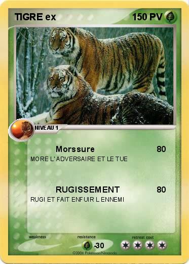 Pokemon TIGRE ex