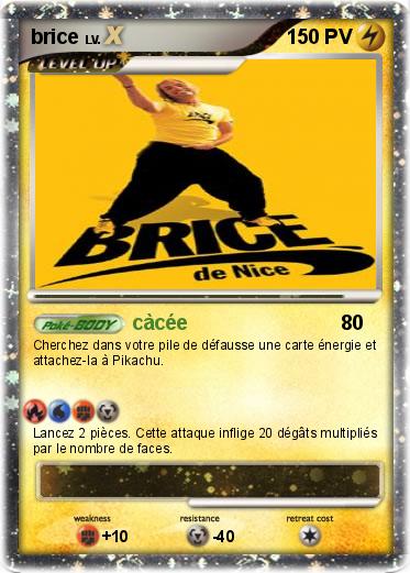 Pokemon brice