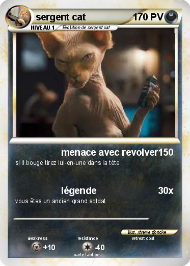 Pokemon sergent cat
