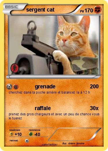 Pokemon sergent cat