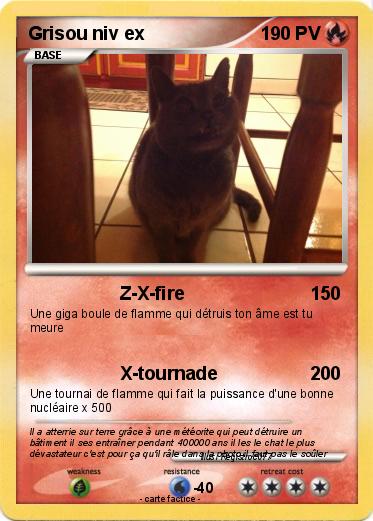 Pokemon Grisou niv ex