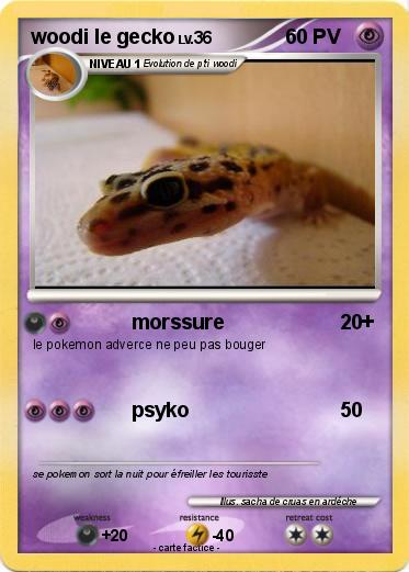 Pokemon woodi le gecko