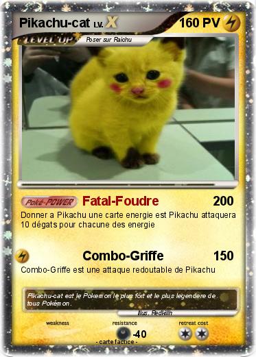 Pokemon Pikachu-cat