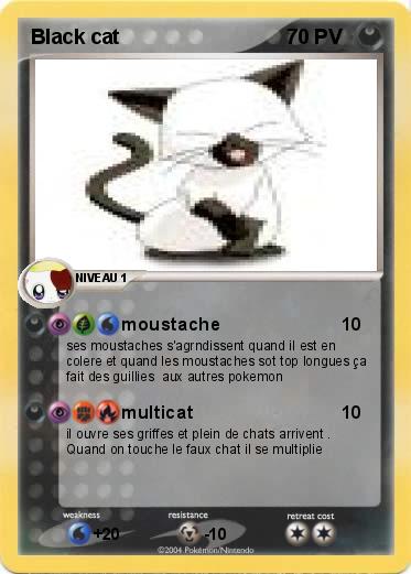 Pokemon Black cat