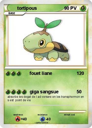 Pokemon tortipous