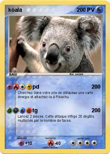 Pokemon koala