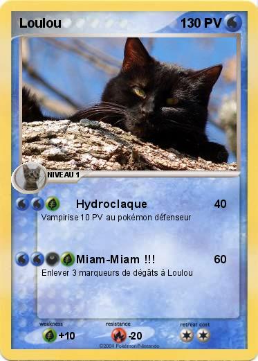 Pokemon Loulou
