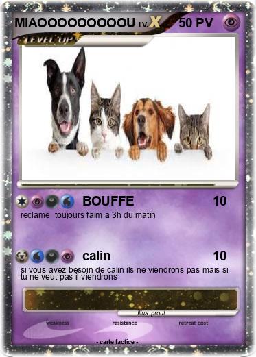 Pokemon MIAOOOOOOOOOU