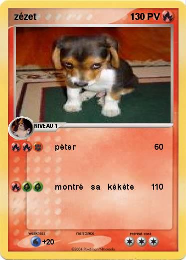 Pokemon zézet