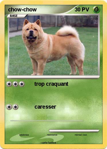 Pokemon chow-chow