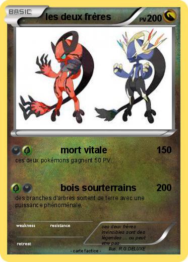 Pokemon les deux frères