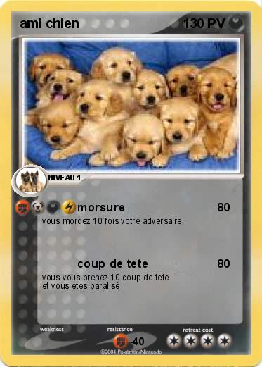 Pokemon ami chien