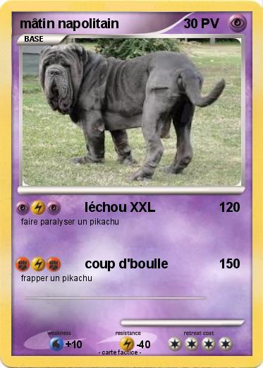Pokemon mâtin napolitain