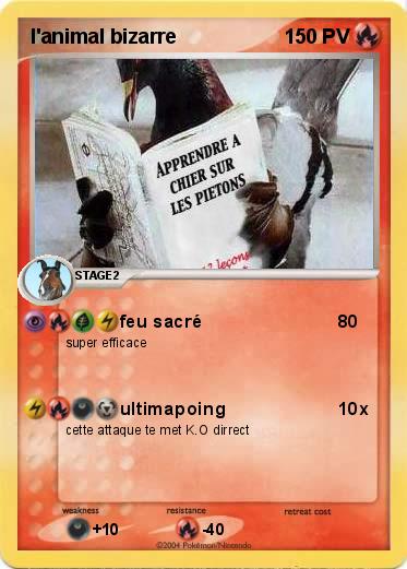 Pokemon l'animal bizarre