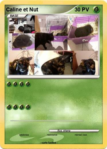 Pokemon Caline et Nut