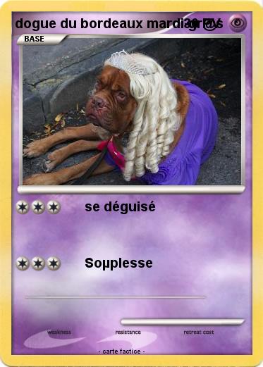 Pokemon dogue du bordeaux mardi-gr@s