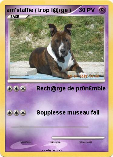 Pokemon am'staffie ( trop l@rge )